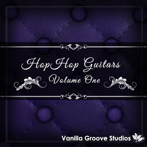 Download Vanilla Groove Studios Hip Hop Guitars Vol Wav Audioz