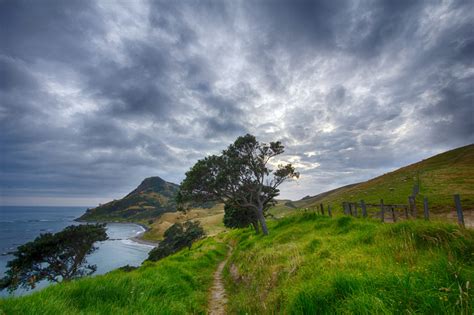 Hillside Landscape Under Clouds In New Zealand Image