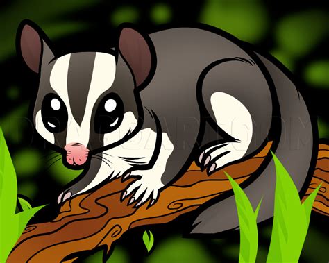 Its large liquid eyes draw the viewer into its commissioned by sugar who researches illnesses and gathers clinical information on sugar gliders for knowledge sharing with vets. How To Draw A Sugar Glider, Sugar Glider by Dawn ...