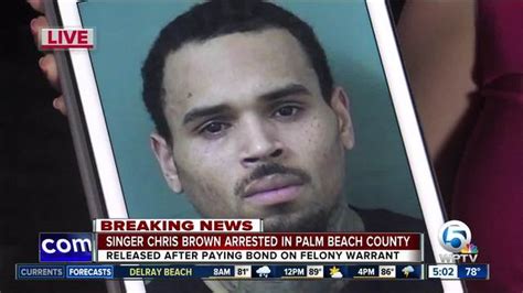 Singer Chris Brown Arrested In Palm Beach County