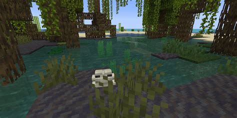Minecraft How To Find Mangrove Swamps And What To Find There