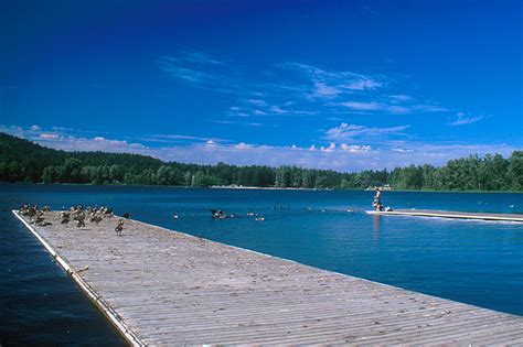 Elkbeaver Lake Regional Park Vancouver Island News Events Travel