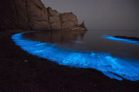 Natural Phenomenon Turns Sea Water Fluorescent Blue As It Washes Up On
