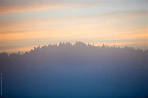 Foggy Morning Sky By Stocksy Contributor Carolyn Lagattuta Stocksy