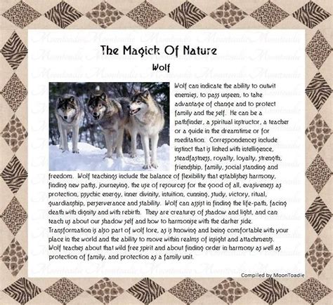 Magick Of Nature Wolf Animal Spirit Guides Spirit Animal Magick