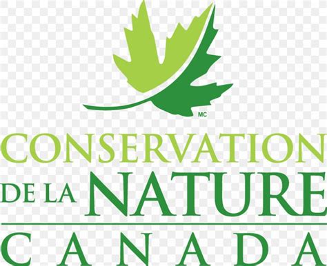 Conservation Nature Conservancy Of Canada Logo Natural Environment Png