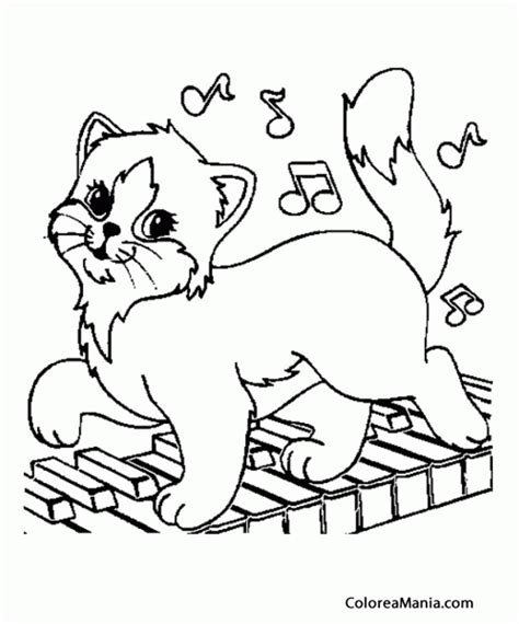 Colorear Gato Tocando El Piano Animales Domésticos Dibujo Para