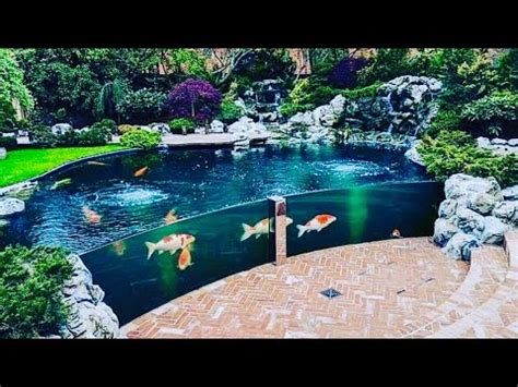 By installing state of the art products that do the job they are designed to do your end result will be a backyard. THE MOST BEAUTIFUL BACKYARD FISH PONDS IN THE WORLD - YouTube