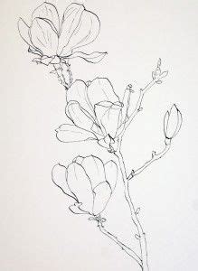 Illustration about magnolia flower drawing illustration. Pin on Drawing