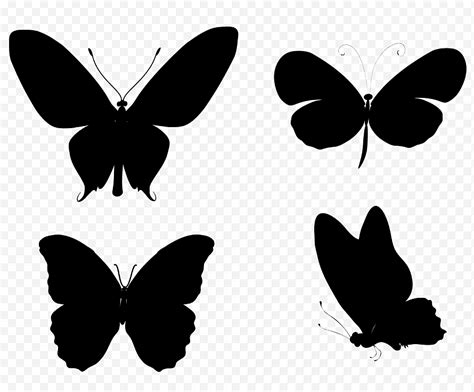 Dibujos De Mariposas En Blanco Y Negro Fondos Pinterest Dibujo De Mariposa Dibujos De Y