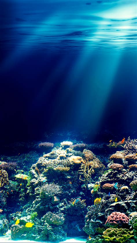 Underwater Summer Wallpapers Top Free Underwater Summer Backgrounds