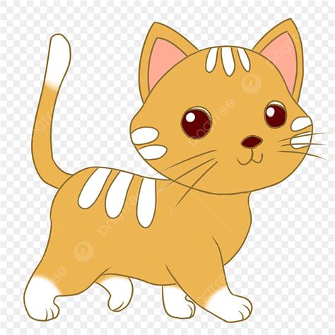 Gambar Animasi Kucing Png Gambar Animasi Keren