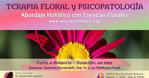 Medicina Floral Hoy Gabriela Ricciardelli Terapia Floral Y