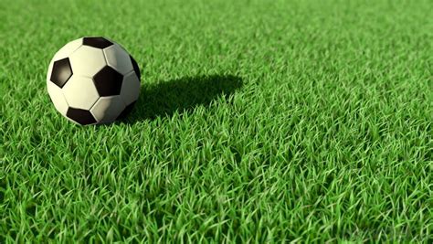 Outdoor Artificial Grass For Soccer Field Real Time Quotes Last Sale