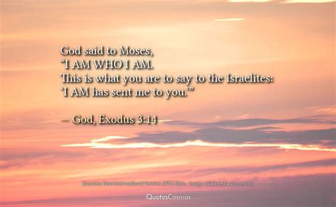 March 22, 2008 by cfchai. Exodus 3:14 "I AM WHO I AM": Translation, Meaning, Context