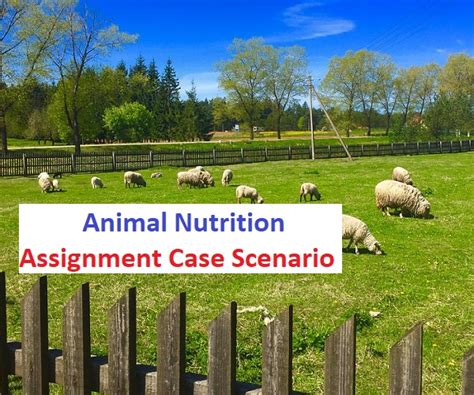 Animal Nutrition Assignment Case Scenario Answers