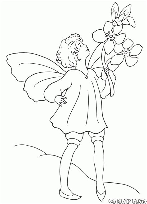 Clicca su disegni da colorare di unicorno per visualizzare la versione stampabile o colorala online (compatibile con ipad e tablet con sistema android). Ragazzo Disegno Da Colorare | Migliori Pagine da Colorare Gratis per Bambini Immagini HD