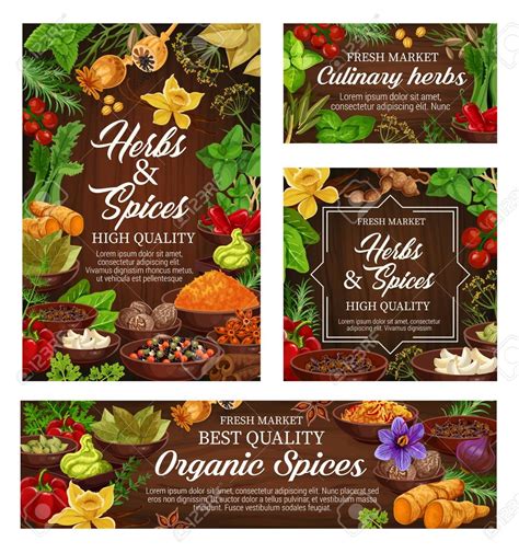 Herbs And Spices Vector Posters Of Natural Food Seasonings Basil