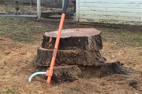 Diy Stump Removal Trufast Tree Service