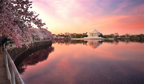 The Top Events Attractions And Things To Do In Washington Dc