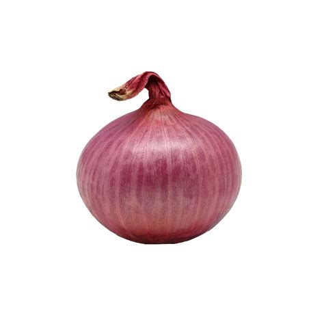 Cutiegarden Onion