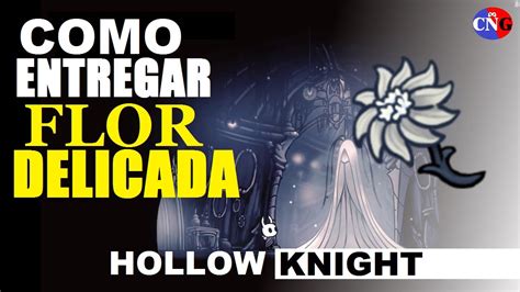 Flor Delicada Hollow Knight Como Entregar A Flor Delicada Youtube