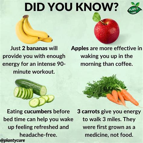 4 Vegetables And Fruits Give You Enough Energy Food And Health