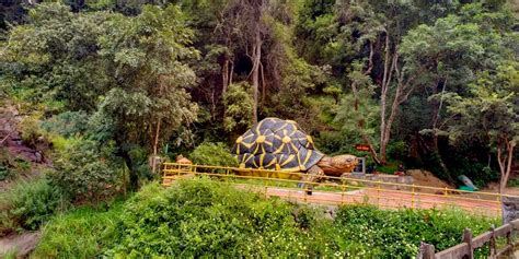 Chinnar Wildlife Sanctuary Munnar 2020 Photos And Reviews