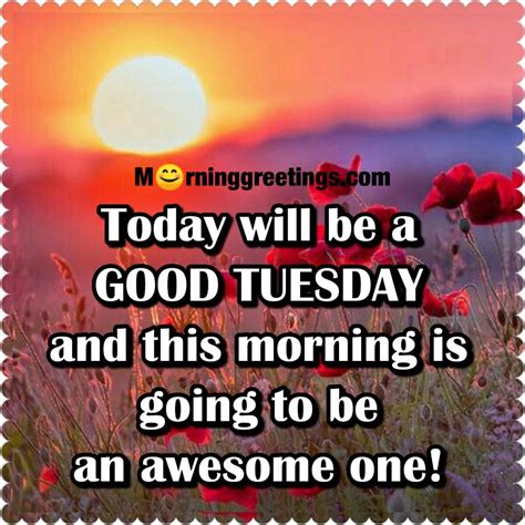 30 Amazing Tuesday Morning Blessings Morning Greetings Morning
