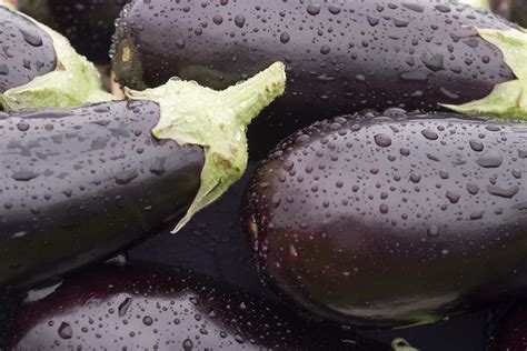How To Cook Eggplant Like A Pro A Guide From Start To Finish
