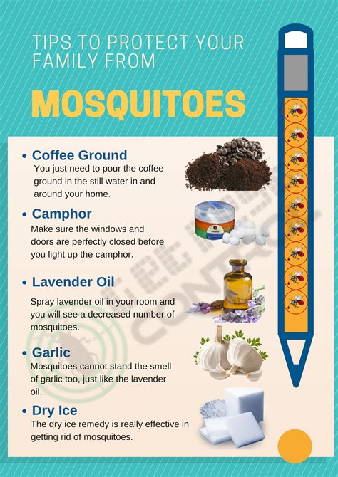 How to Protect Your Family from Mosquitoes? | Mosquito, Lavender spray, How to protect yourself