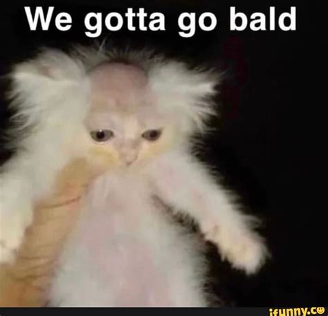 We Gotta Go Bald