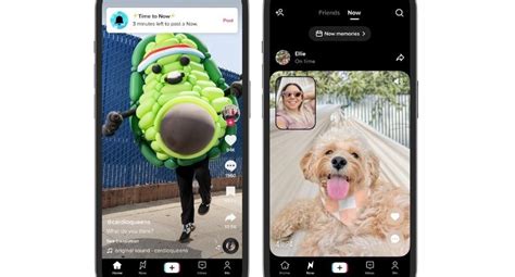 Tiktok Incorpora Las Alertas De Bereal Para Compartir Una Foto O Video