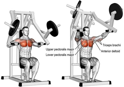 10 best chest exercises for building bigger pecs fitness volt