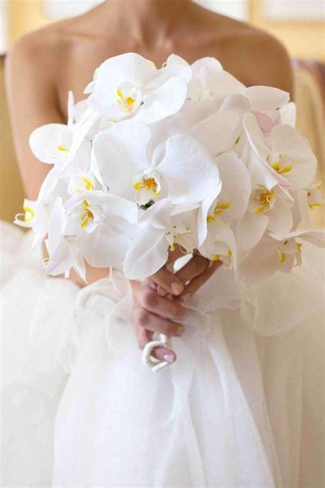 Wedding Bouquets With Orchids Green Cymbidium Orchid Cascade Bouquet