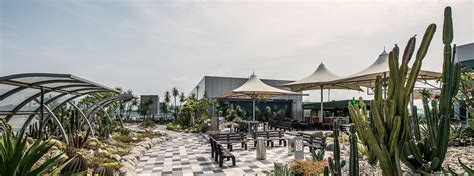 On the roof top of t1. 仙人掌花园 | 新加坡樟宜机场