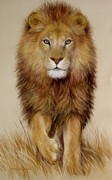 Lion roaring lion and pencil drawings on pinterest. Amazing realistic lion drawing | Art | Pinterest | Lions ...