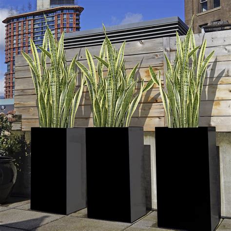 Stylish large square planters outdoor uk exclusive on garden server ideas. Robot Check | Modern planters outdoor, Large backyard ...