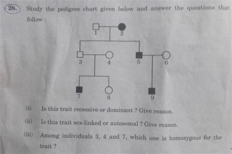 Study The Pedigree Chart Given Below And Answer The Questions That