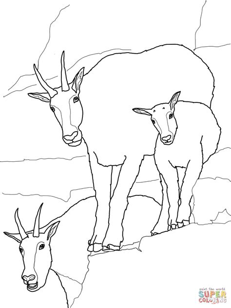 This animal has a medium size and many animals used as cattle. Coloring Pages Goat - Coloring Home