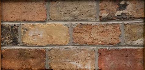 Brick Paver Tiles Nc Campaign Pine Hall Brick