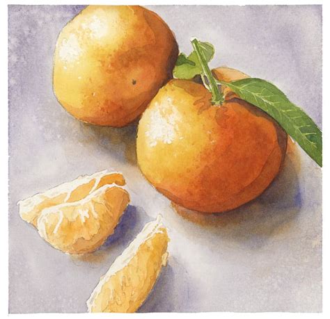 Painting Still Life In Watercolor Beginners Step By Step Tutorial