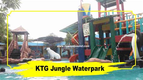 Dinginkan dengan seharian aktivitas air yang bisa dinikmati seluruh keluarga. KTG Jungle Waterpark Outbound Sidoarjo l NEW Provider l 081938894727