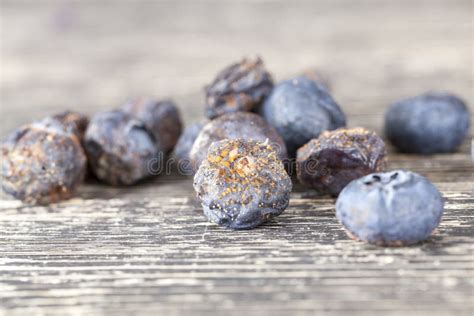 Rotten Blueberries Stock Image Image Of Agriculture 129409975