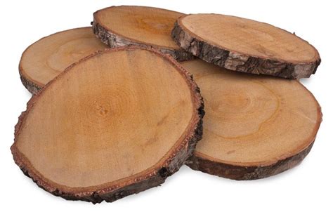 How tall is 5 ft 2.5 in centimeters? Plaster drewna brzozowego o średnicy 24-28 cm, grubość 2,5 cm