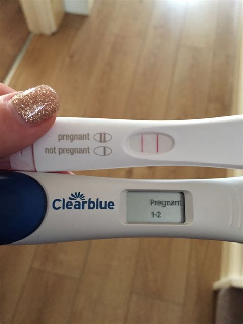 Pregnancy Test 2 Weeks Before Period Pregnancy Test