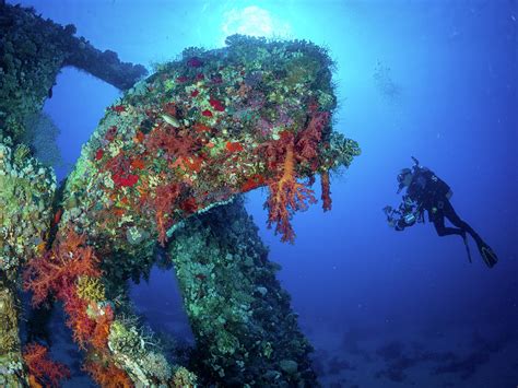 Wreck Of The Ss Dunraven Photograph By Nw Dive Girl Pamela Treischel