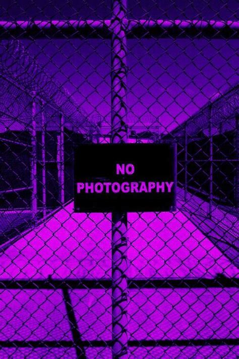 pinterest | octwilight | Violet aesthetic, Purple vibe