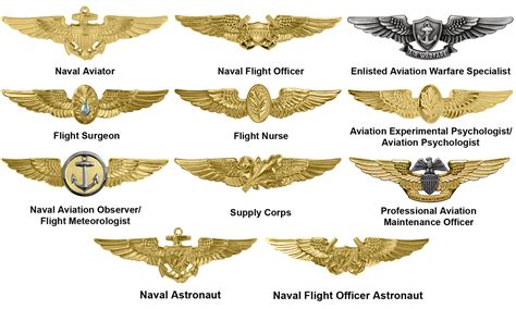 United States Navy Navy Insignia Badge