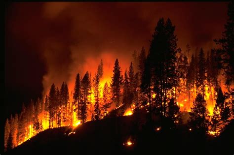 wildfire